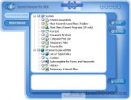 Secrets Protector Pro 2006 screenshot